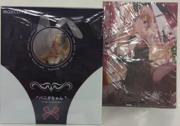 maxcute 바니가 짱 특전 포함 PVC