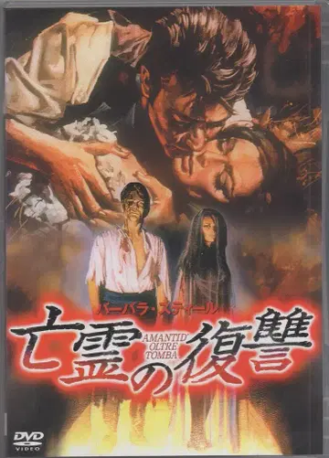 빔엔터테인먼트 서양화 DVD 망령의 복수