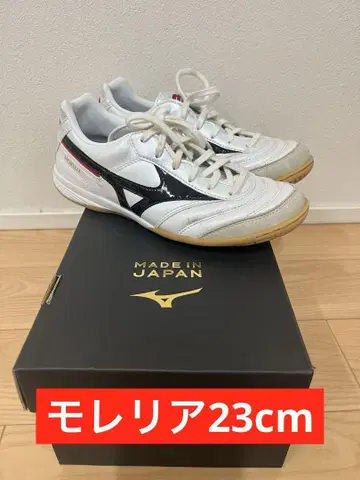 모렐리아 풋살화