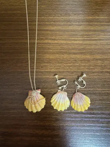 선라이즈 쉘