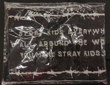 StrayKids 2024 dominATE JAPAN 머플러 타월 도쿄