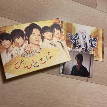 핀토코나 DVD BOX 혜택 포함