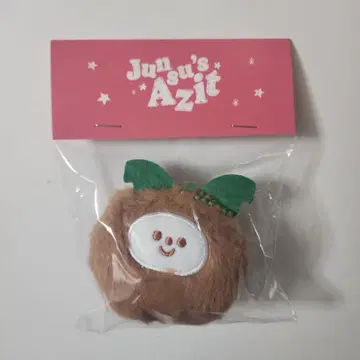 Jun su's Azit 봉제 인형 마스코트