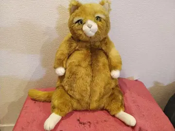 카드 리(?) 이름 불명