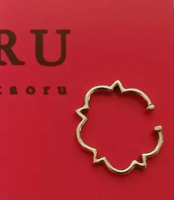 카오루 kaoru 플뢰르 이어커프 K10 그린골드