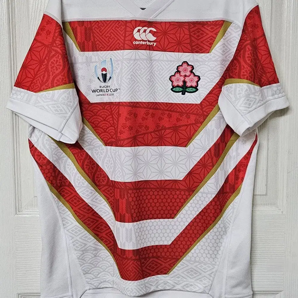 L] 2019 Rugby World Cup Japan Rugby National Team Home