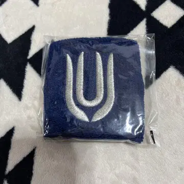 UNISON SQUARE GARDEN 리스트밴드 비사이드 유니존