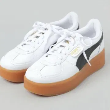JEANASIS PUMA 스니커즈 팔레르모 엘리베이터 스니커즈