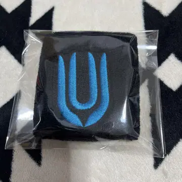 UNISON SQUARE GARDEN 리스트 밴드 프로그램