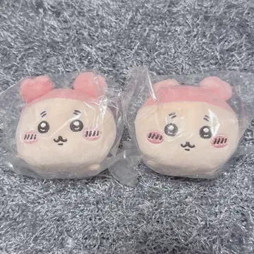 헌책방 치이카와