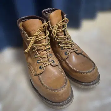 레드윙 875 REDWING