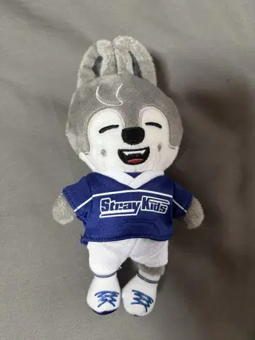 SKZOO 울프찬 백참 팝업 스키즈 방찬