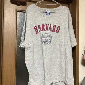Champion HARVARD 티셔츠 X-LARGE 그레이 90s