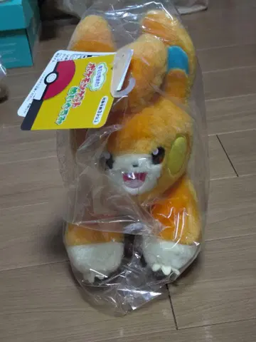너로 정했다! 포켓몬 겟 봉제인형 빠모