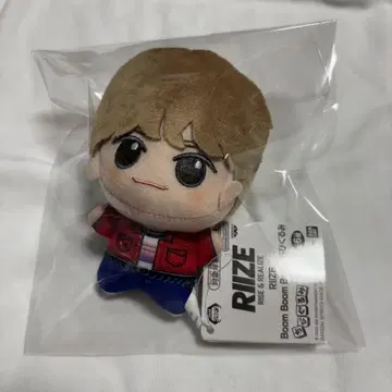 은석 SD 인형 봉제 인형  riize 라이즈