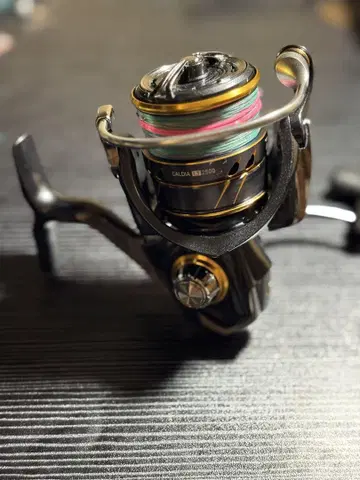다이와 21 칼디아 LT2500