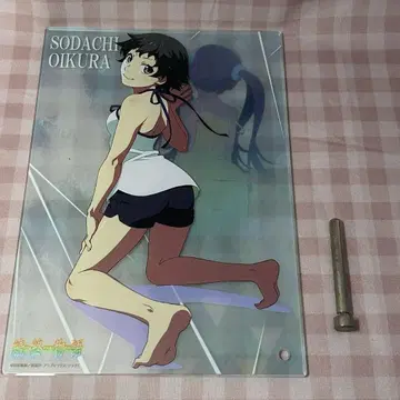 속 종 아크릴 아트 패널
