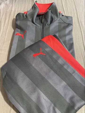 PUMA 스트라이프 자켓 그레이/레드