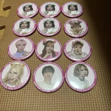 베비타피 페스 캔뱃지