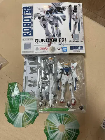 로봇혼 EVOLUTION-SPEC F91