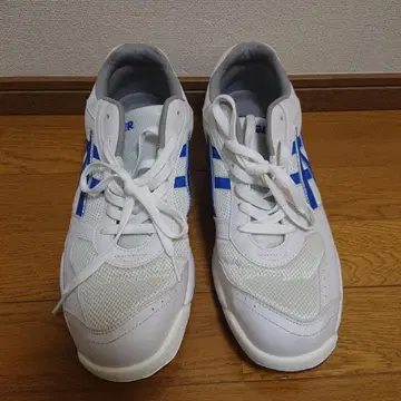 아사히 체육관 신발 30cm