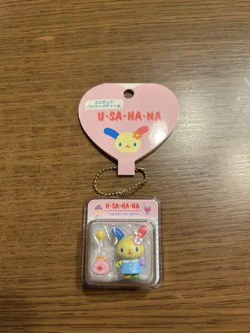 미니어처 패키지 참 우사하나 산리오 우사하나