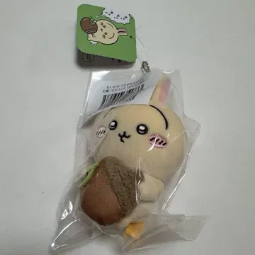 치이카와 토끼 투성이 복권 D상 마스코트 도토리