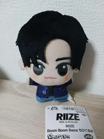 RIIZE 라이즈 SD 인형 원빈 WONBIN