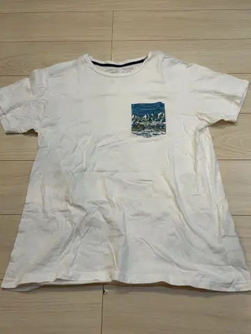 patagonia 오가닉 코튼 티셔츠 L