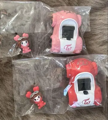 TWICE 풀백카 모모&채영