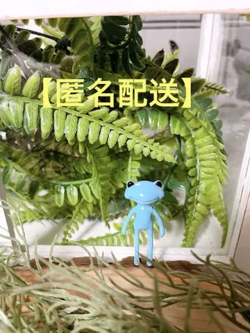 studuo-uoo 포춘 완다 프렌드