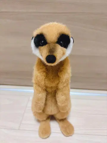 케센 미어캣 봉제 인형 kosen