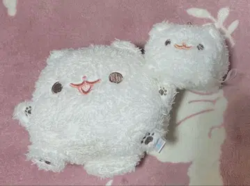 즉시 구매 포메라니안 모찌 포메모찌 모찌 시라타마 쿠로미츠 키나코