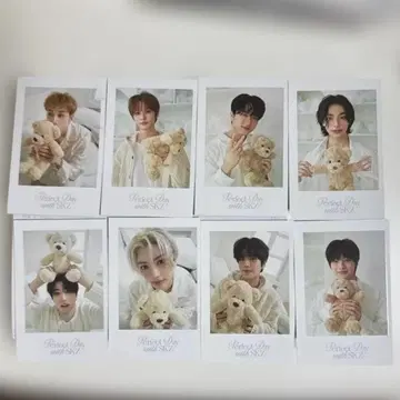 straykids 시그리 2024 8매 세트