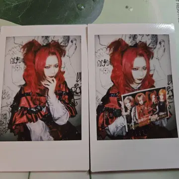 Royz 폴라로이드 즉시 구매 OK
