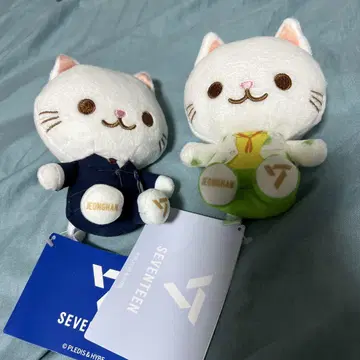 SEVENTEEN JEONGHAN 봉제 인형