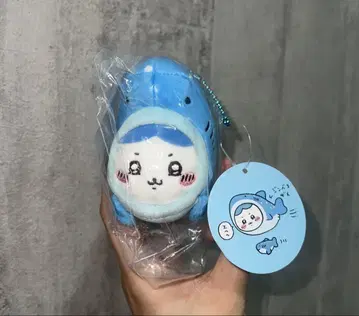 치이카와 수족관 징베 상어 하치와레 마스코트 하치와레 1개