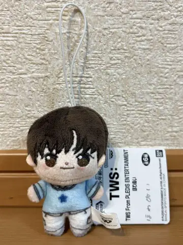 TWS From  봉제 인형 지훈
