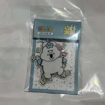 한국 한정 아크릴 키링 키링