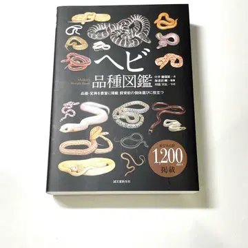 뱀 품종 도감