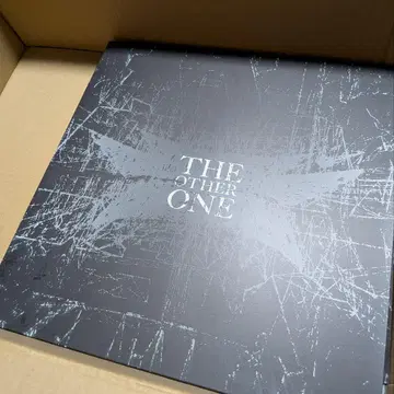 BABYMETAL THE OTHER ONE 레코드 사이즈 CD