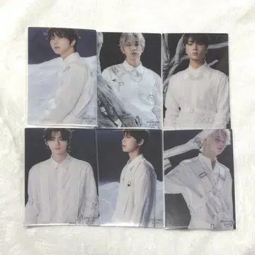 ENHYPEN cafe 2023 클리어 카드 6 세트