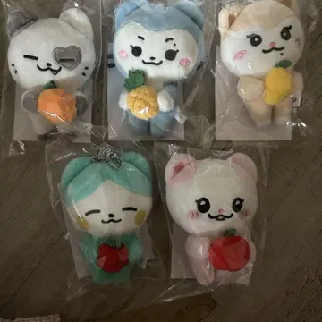 itzy 백참 popup 5개 세트