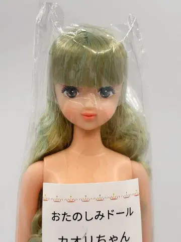 카오리짱 리카짱 캐슬 오타노시미 인형 연한 녹색 계열 제니 프렌드