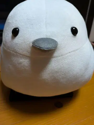 시마연가 Big 봉제 인형 약 45 25cm