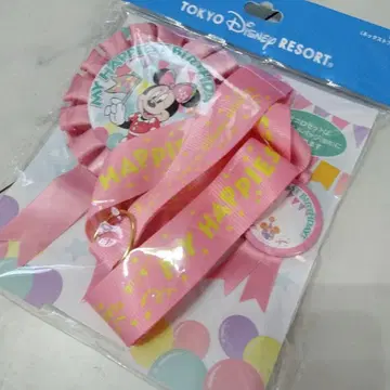 미니 로제트 벌스데이 디즈니 리조트