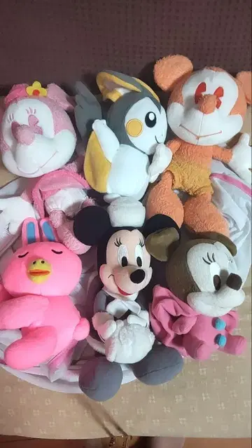 미키, 미니 마우스 포켓몬, 노바 토끼 봉제 인형 6개 세트
