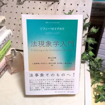 법현상학 입문
