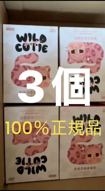 100% 정품 WILD CUTIE 봉제 인형 3개 세트