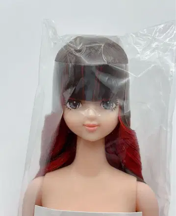 사야카 오타노시미 인형 리카짱 캐슬 제니 프렌드